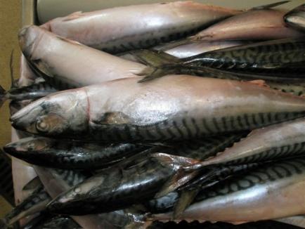 Peşte congelat cu probleme, retras de pe piaţa din Bihor
